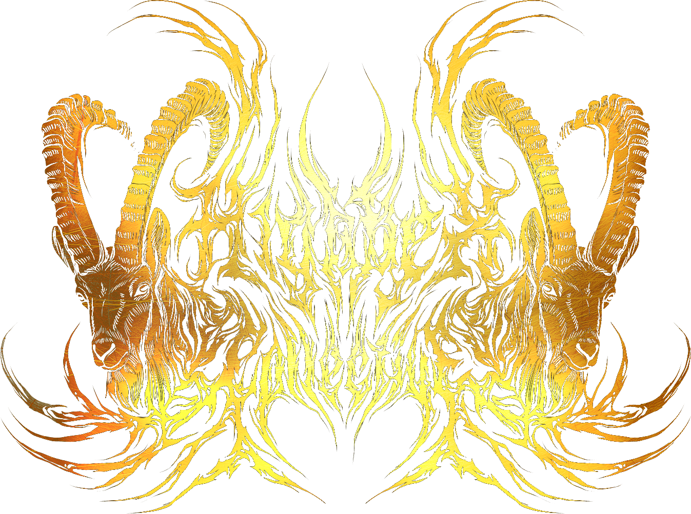 Highbex Collective